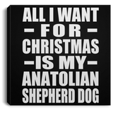 All I Want For Christmas Is My Anatolian Shepherd Dog - Canvas Square