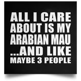All I Care About Is My Arabian Mau - Poster Square