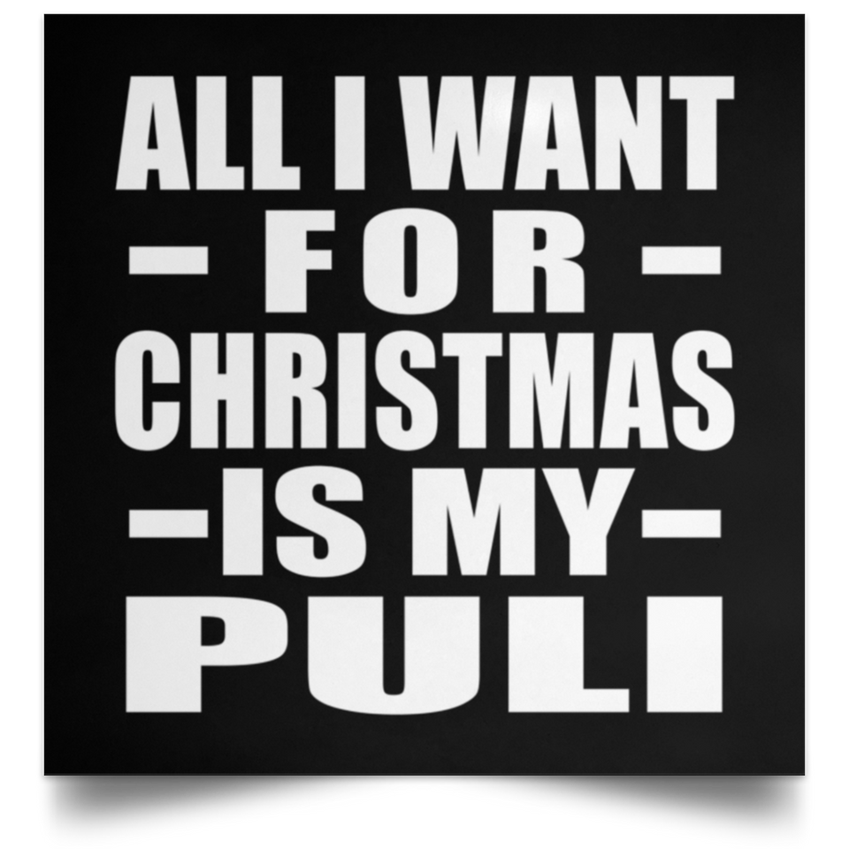 All I Want For Christmas Is My Puli - Poster Square