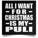 All I Want For Christmas Is My Puli - Poster Square