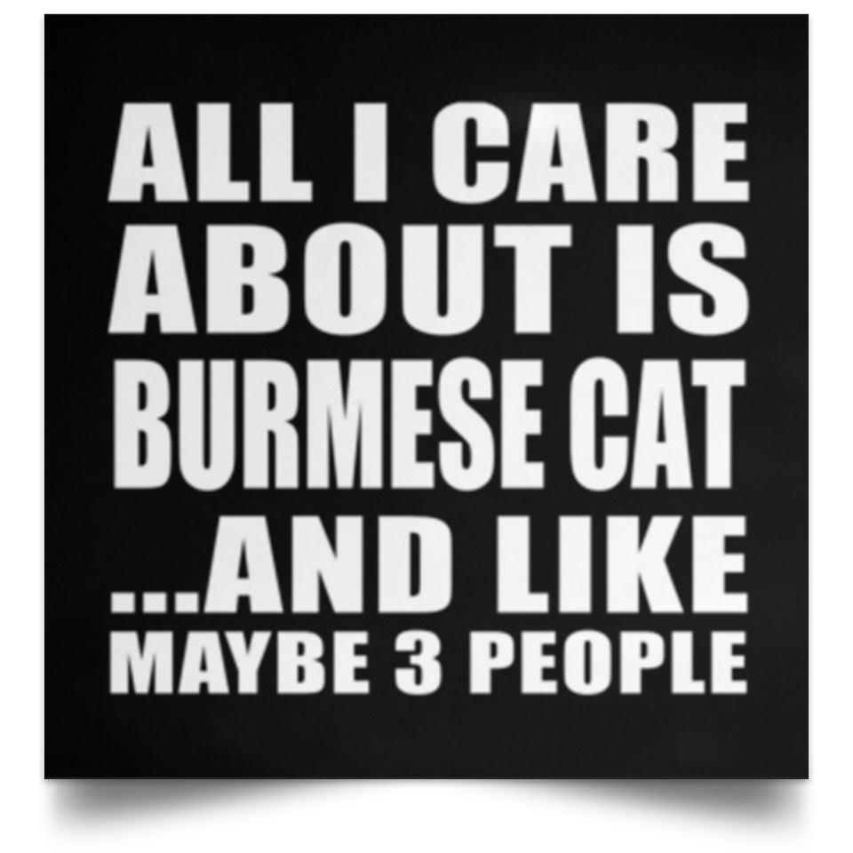 All I Care About Is Burmese Cat - Poster Square