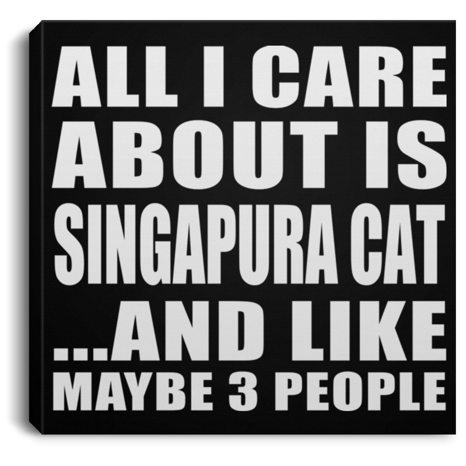 All I Care About Is Singapura Cat - Canvas Square