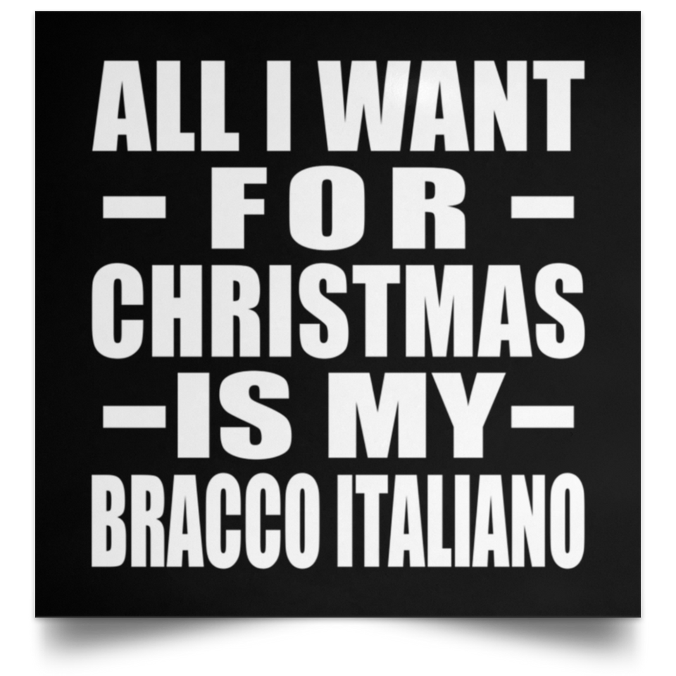 All I Want For Christmas Is My Bracco Italiano - Poster Square