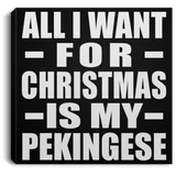 All I Want For Christmas Is My Pekingese - Canvas Square