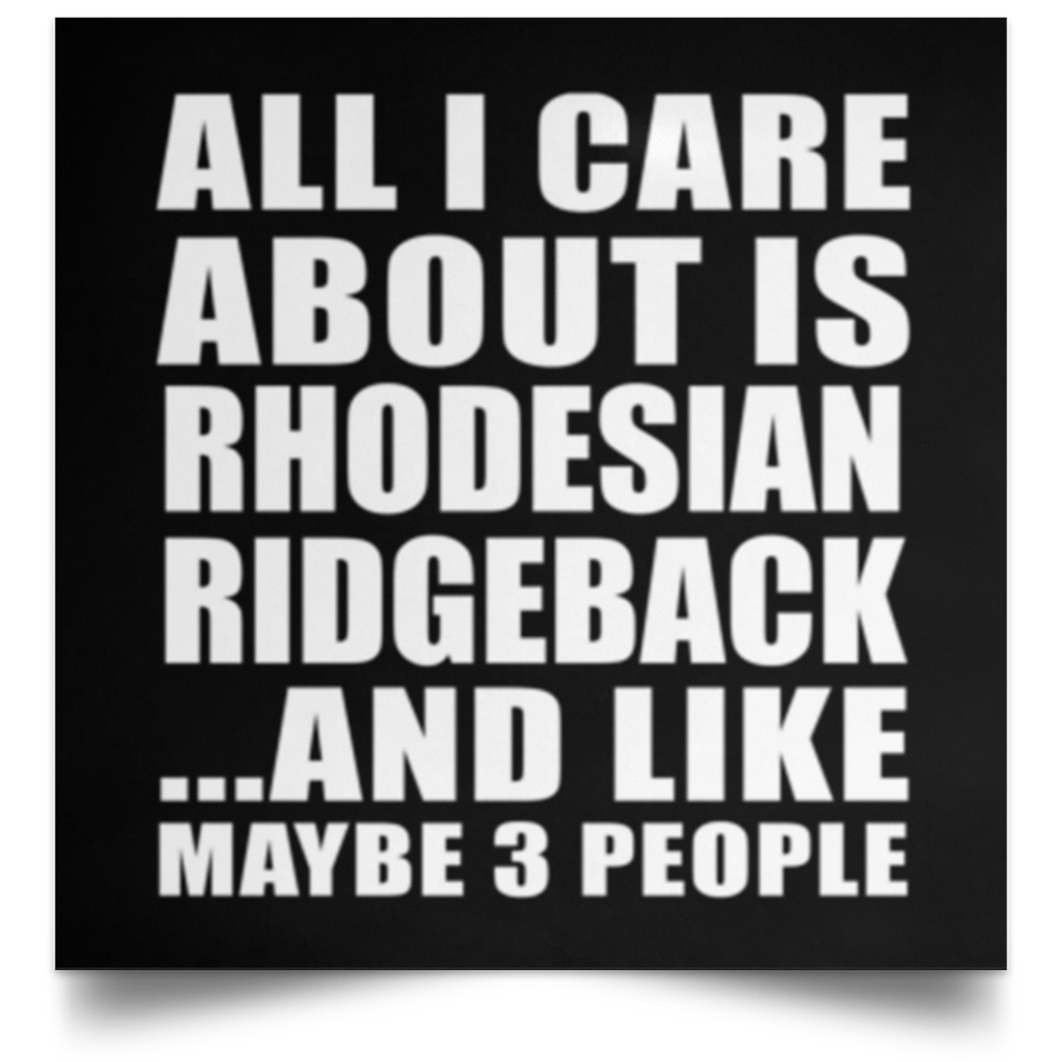 All I Care About Is Rhodesian Ridgeback - Poster Square