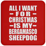 All I Want For Christmas Is My Bergamasco Sheepdog - Coaster
