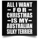 All I Want For Christmas Is My Australian Silky Terrier - Poster Square