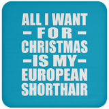 All I Want For Christmas Is My European Shorthair - Coaster