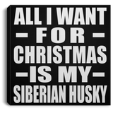 All I Want For Christmas Is My Siberian Husky - Canvas Square