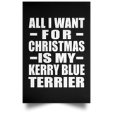 All I Want For Christmas Is My Kerry Blue Terrier - Poster Portrait