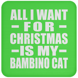 All I Want For Christmas Is My Bambino Cat - Coaster