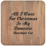All I Want For Christmas Is My Domestic Shorthair Cat - Drink Coaster C
