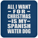 All I Want For Christmas Is My Spanish Water Dog - Coaster