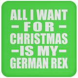 All I Want For Christmas Is My German Rex - Coaster