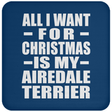 All I Want For Christmas Is My Airedale Terrier - Coaster
