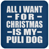All I Want For Christmas Is My Puli Dog - Coaster