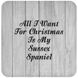All I Want For Christmas Is My Sussex Spaniel - Drink Coaster F