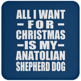 All I Want For Christmas Is My Anatolian Shepherd Dog - Coaster