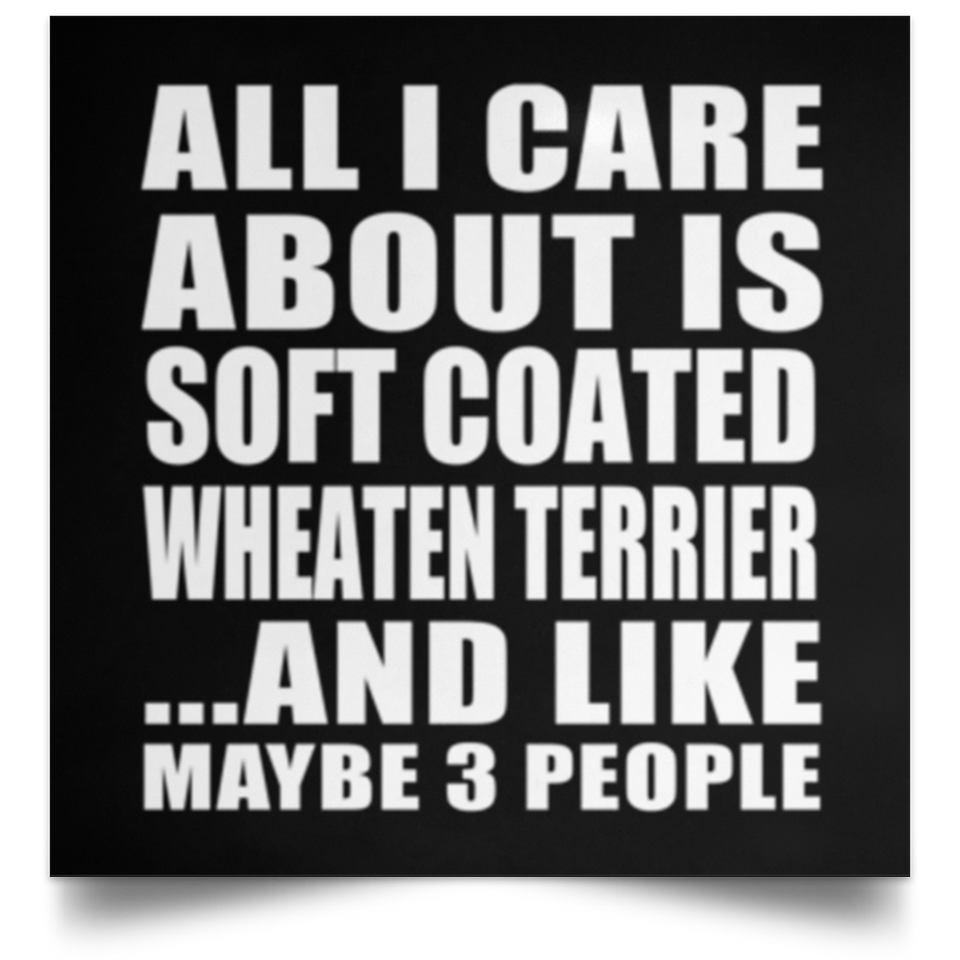 All I Care About Is Soft Coated Wheaten Terrier - Poster Square