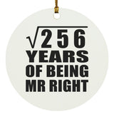 16th Anniversary Square Root of 256 Years of Being Mr Right - Circle Ornament