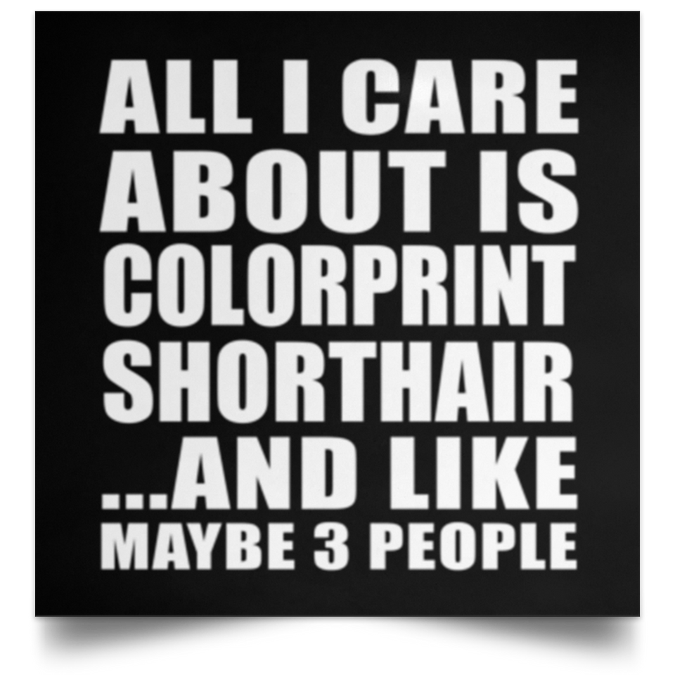 All I Care About Is Colorprint Shorthair - Poster Square