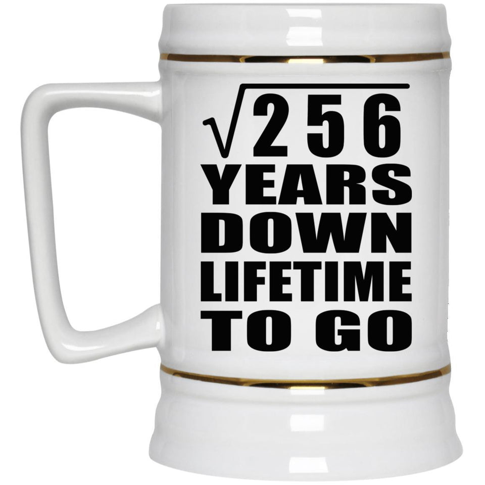 16th Anniversary Square Root of 256 Years Lifetime To Go - Beer Stein