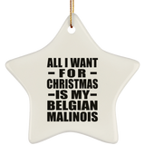 All I Want For Christmas Is My Belgian Malinois - Star Ornament