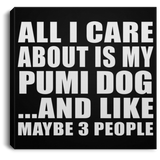 All I Care About Is My Pumi Dog - Canvas Square