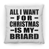 All I Want For Christmas Is My Briard - Throw Pillow