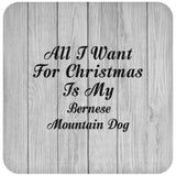 All I Want For Christmas Is My Bernese Mountain Dog - Drink Coaster F