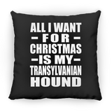All I Want For Christmas Is My Transylvanian Hound - Throw Pillow Black