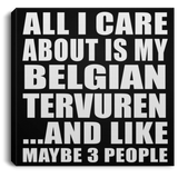 All I Care About Is My Belgian Tervuren - Canvas Square
