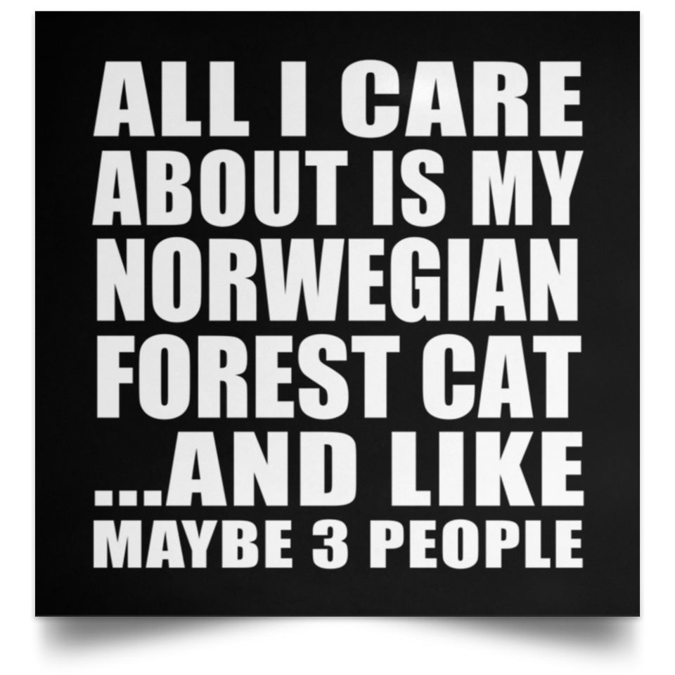 All I Care About Is My Norwegian Forest Cat - Poster Square