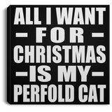 All I Want For Christmas Is My Perfold Cat - Canvas Square