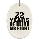 22nd Anniversary 22 Years Of Being Mr Right - Oval Ornament