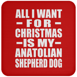 All I Want For Christmas Is My Anatolian Shepherd Dog - Coaster