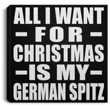 All I Want For Christmas Is My German Spitz - Canvas Square