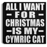 All I Want For Christmas Is My Cymric Cat - Canvas Square