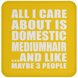 All I Care About Is Domestic Mediumhair - Coaster