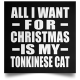 All I Want For Christmas Is My Tonkinese Cat - Poster Square