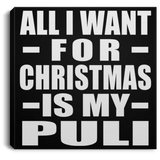 All I Want For Christmas Is My Puli - Canvas Square