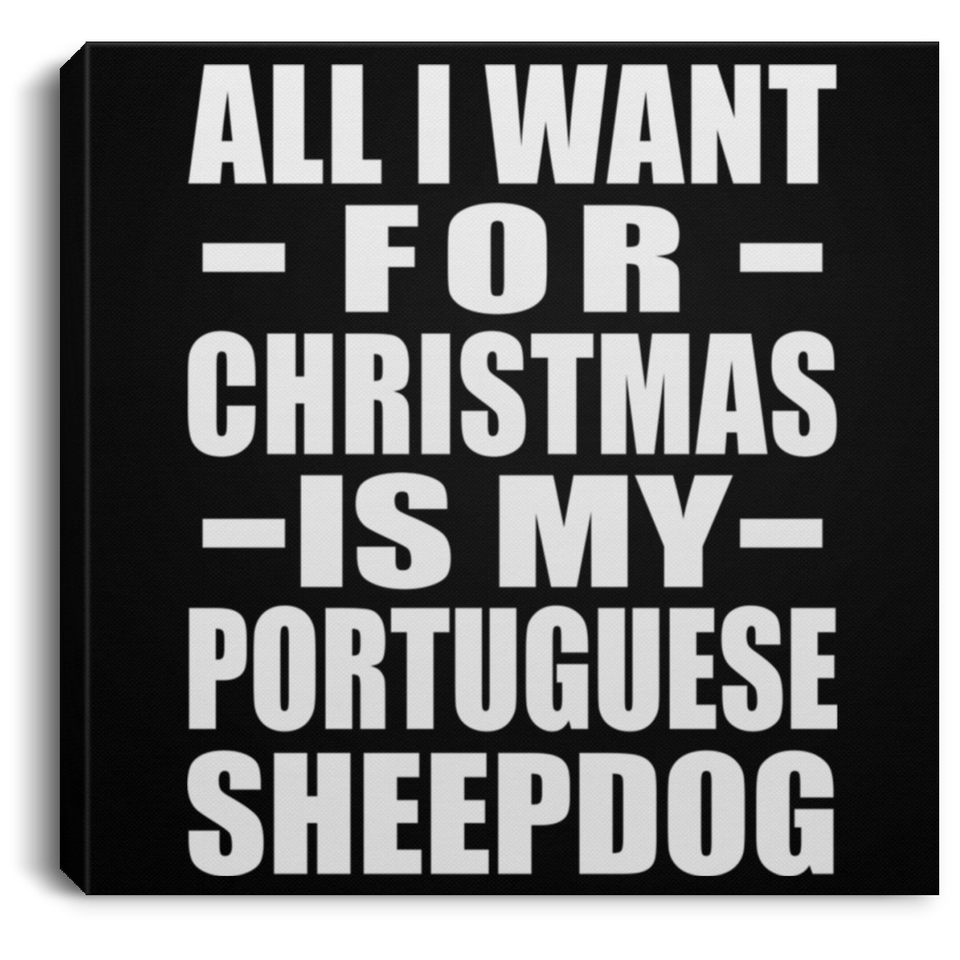 All I Want For Christmas Is My Portuguese Sheepdog - Canvas Square