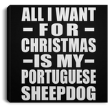 All I Want For Christmas Is My Portuguese Sheepdog - Canvas Square