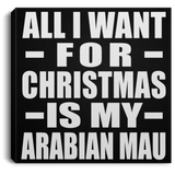 All I Want For Christmas Is My Arabian Mau - Canvas Square