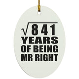 29th Anniversary Square Root of 841 Years of Being Mr Right - Oval Ornament