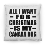All I Want For Christmas Is My Canaan Dog - Throw Pillow