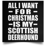 All I Want For Christmas Is My Scottish Deerhound - Poster Square