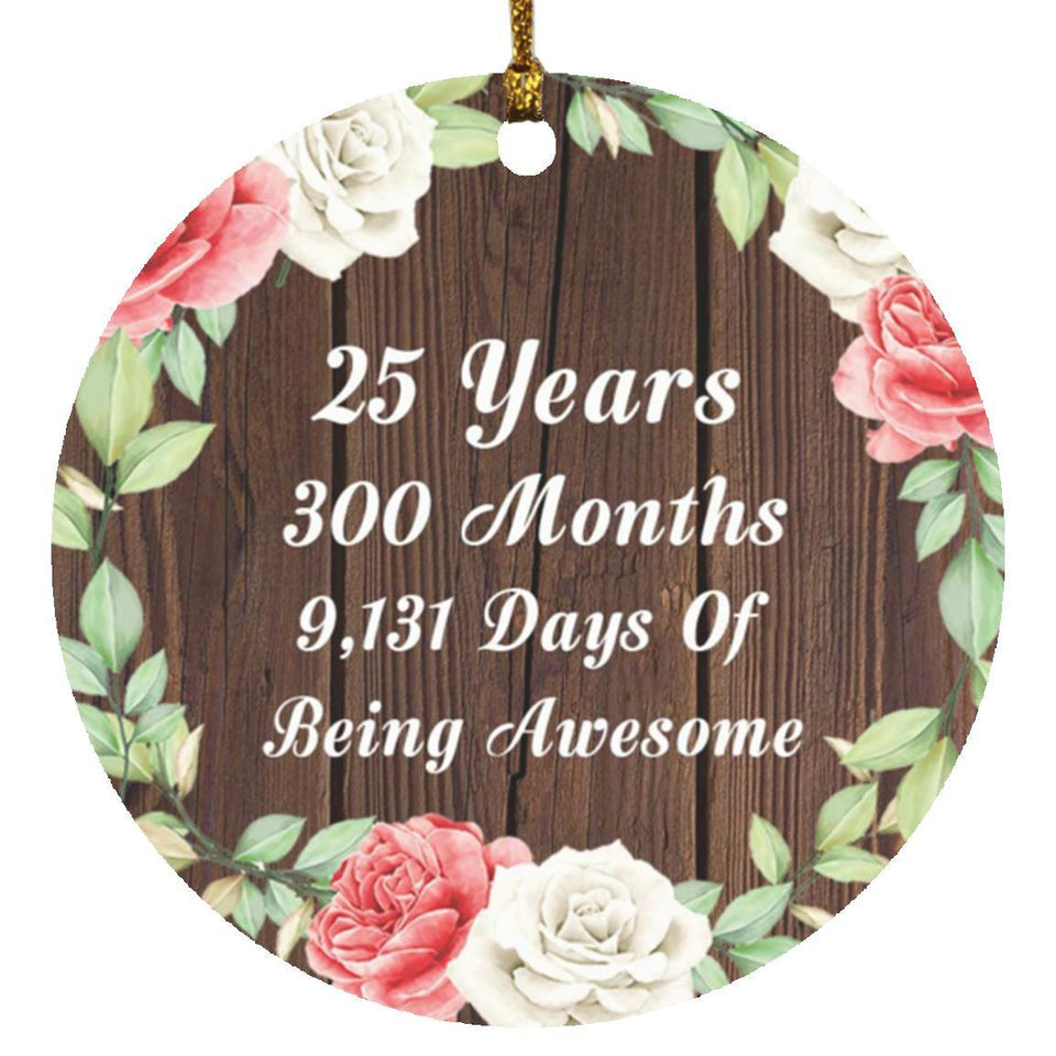 25th Birthday 25 Years 300 Months 9,131 Days Of Awesome - Circle Ornament A