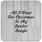 All I Want For Christmas Is My Border Beagle - Drink Coaster F