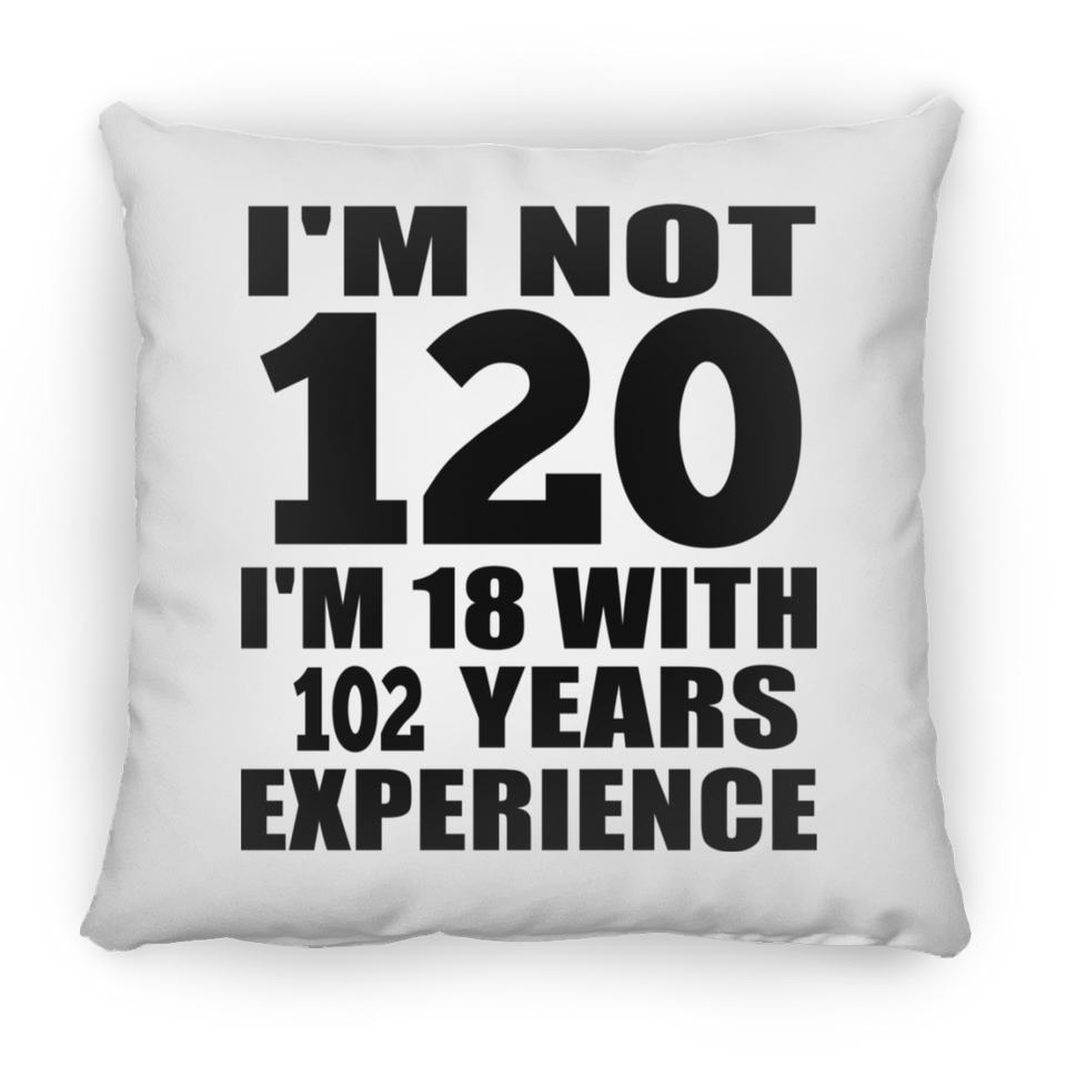 120th Birthday I'm Not 120 I'm 18 With 102 Years Experience - Throw Pillow